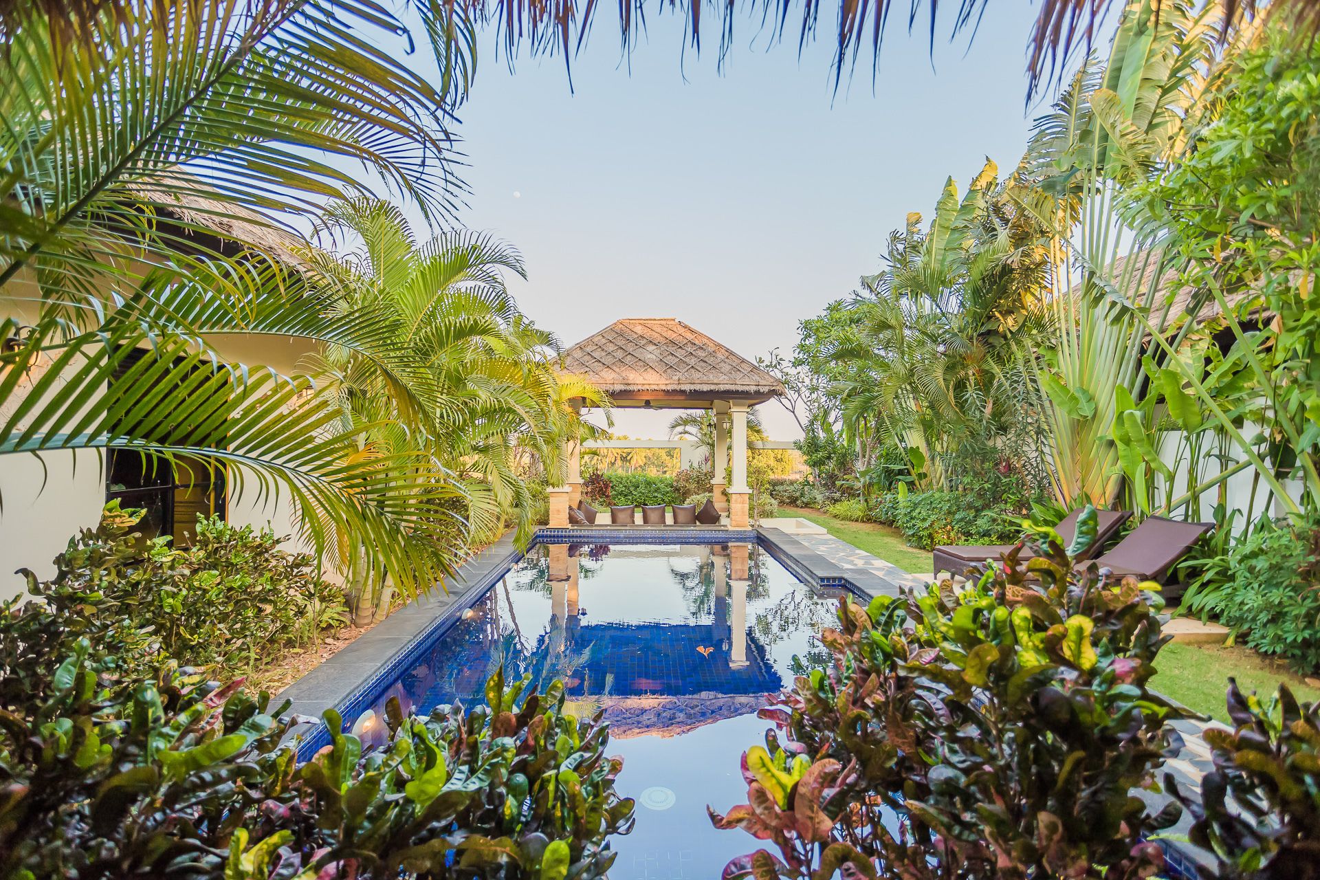 outdoor pool, pool loungers