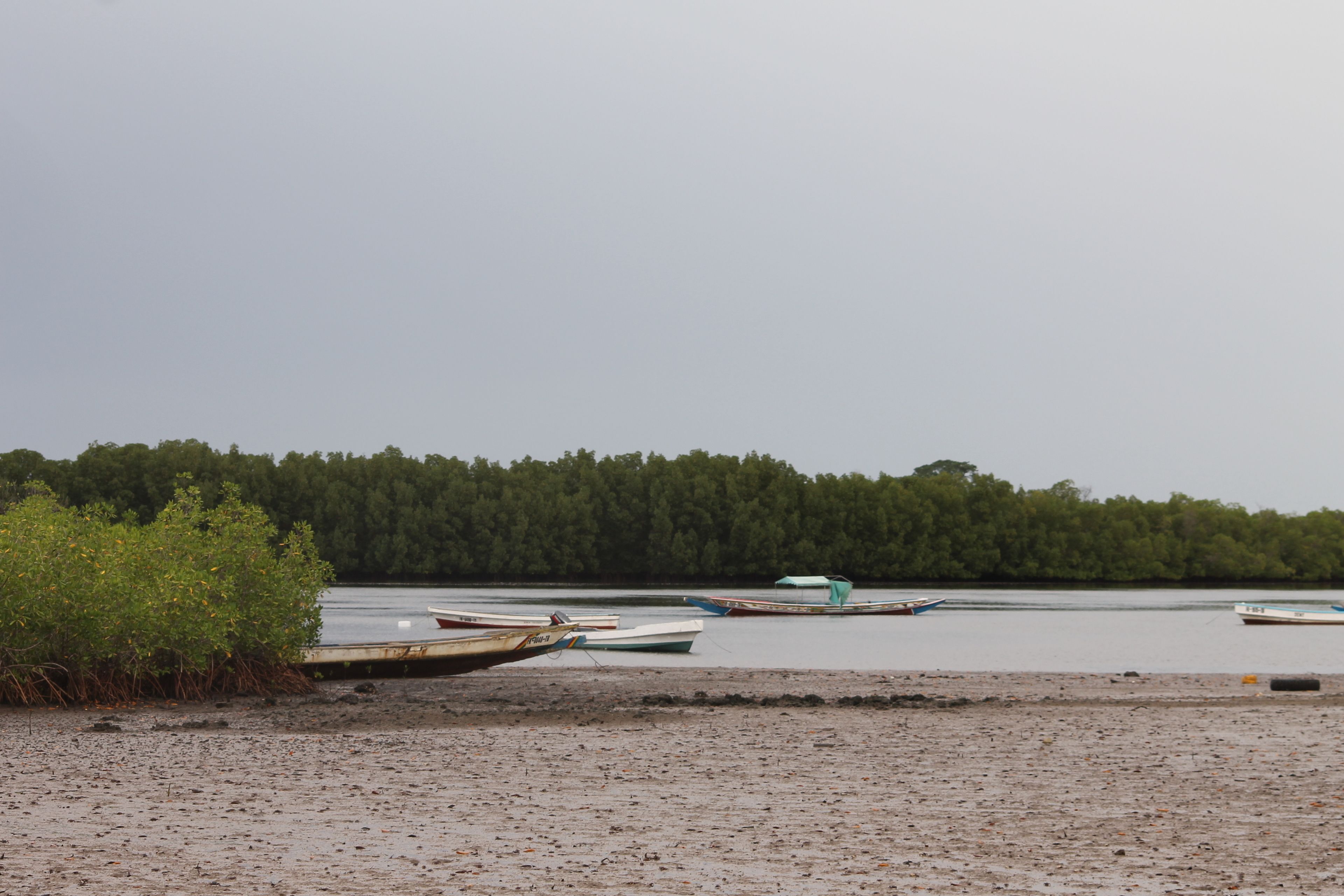 A beach with several boats anchored near the shore.