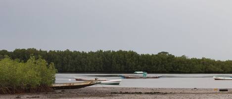 A beach with several boats anchored near the shore.