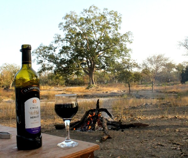 A bottle of El Emperador Merlot 2011 Valley Central red wine and a glass of wine on a wooden table in an outdoor setting with a tree and a campfire in the background. - Fathala Wildlife Reserve (Fatick)