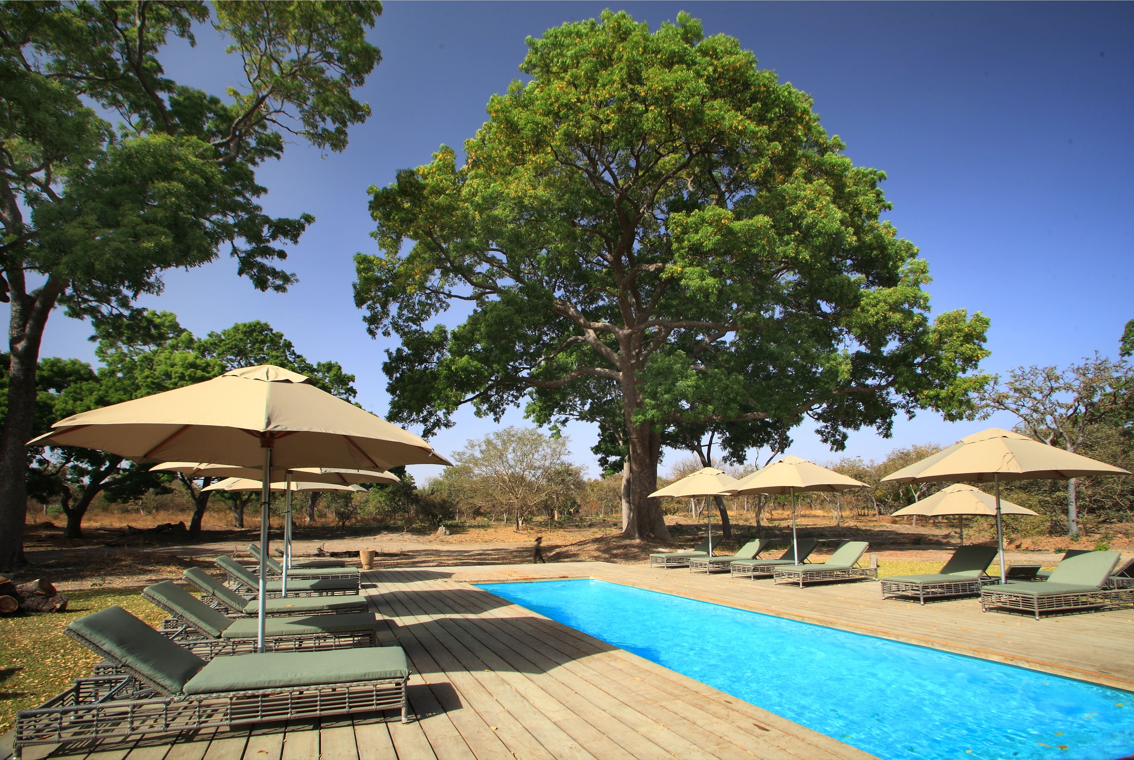 A poolside area with lounge chairs and umbrellas, surrounded by trees.