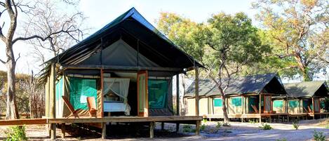 A series of wooden cabins with a simple, open design, featuring a single bed and a small table.