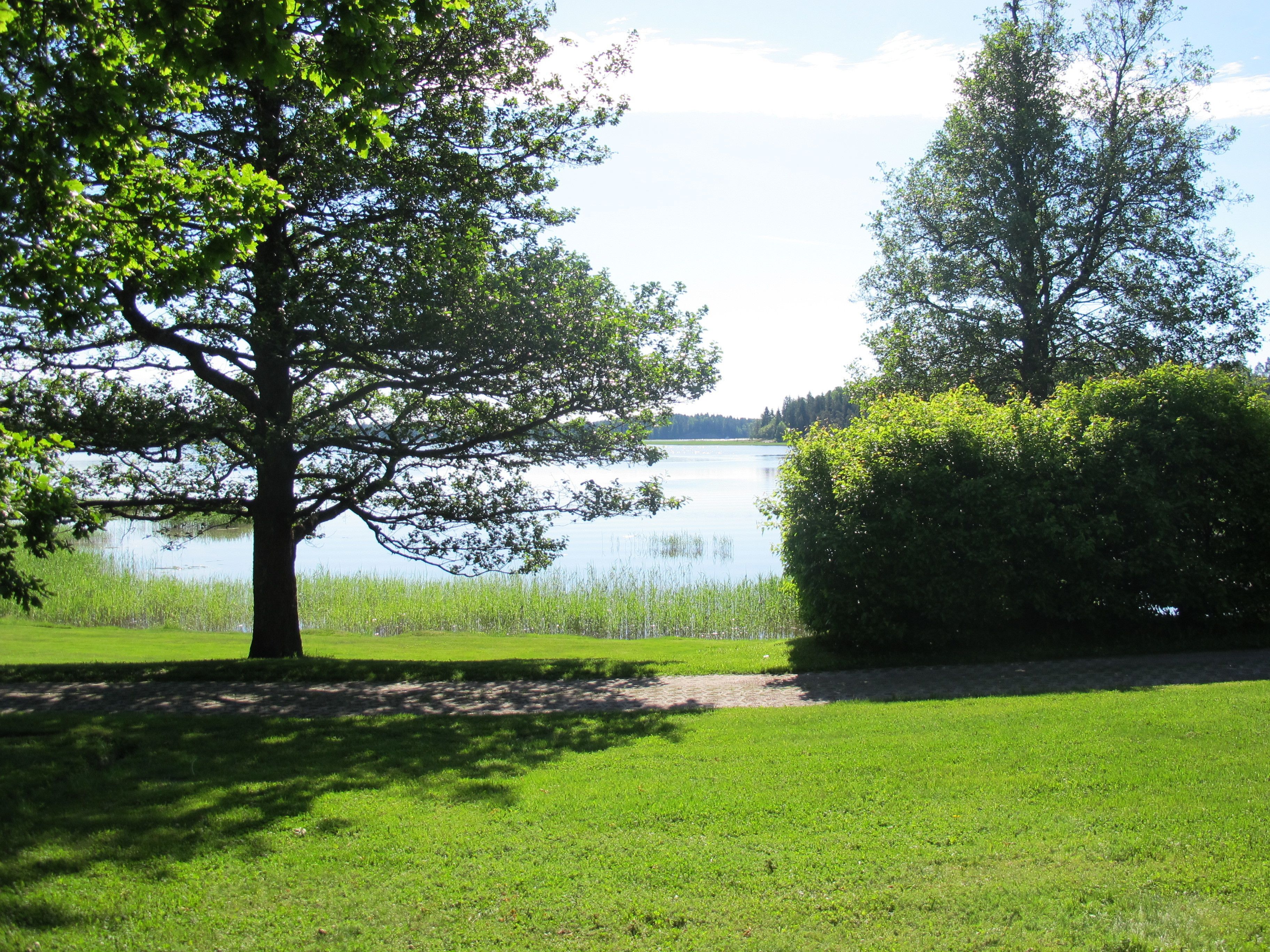 superior double room, 1 king bed, bay view | view from room