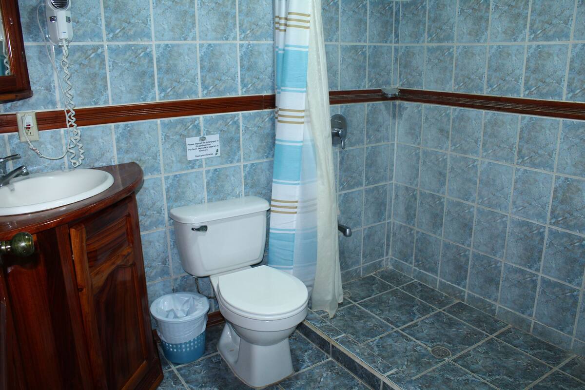 standard room, 1 king bed | bathroom | shower, free toiletries, hair dryer, towels