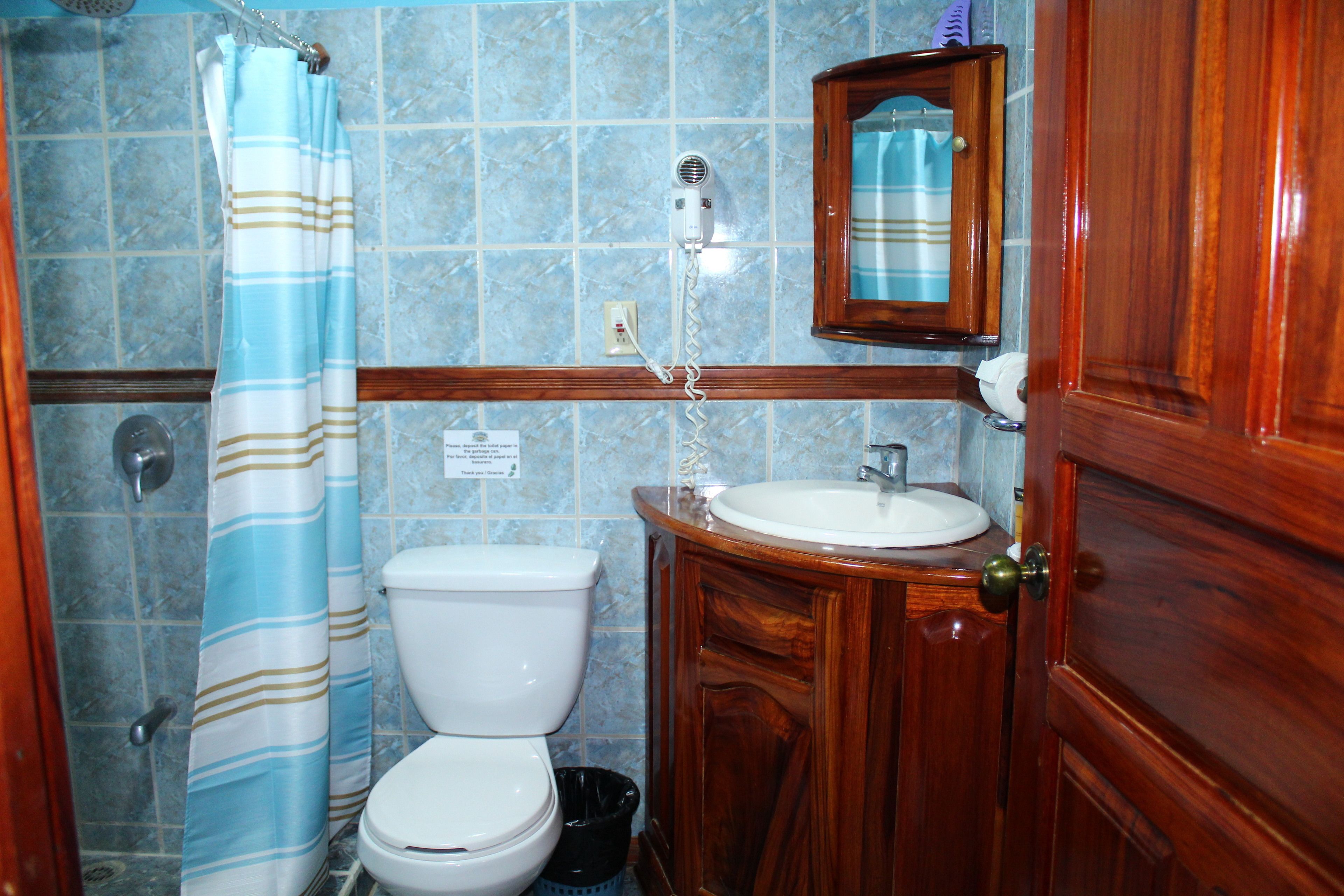 shower, free toiletries, hair dryer, towels