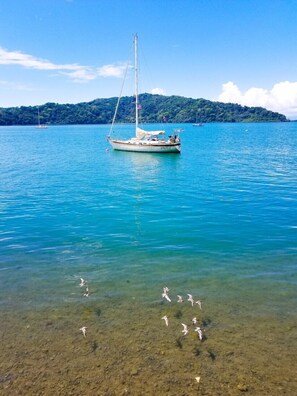 A sailboat on a calm lake with clear water and a forested island in the background. - Fish Hook Marina & Lodge (Golfito)