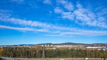 Vista desde la habitación