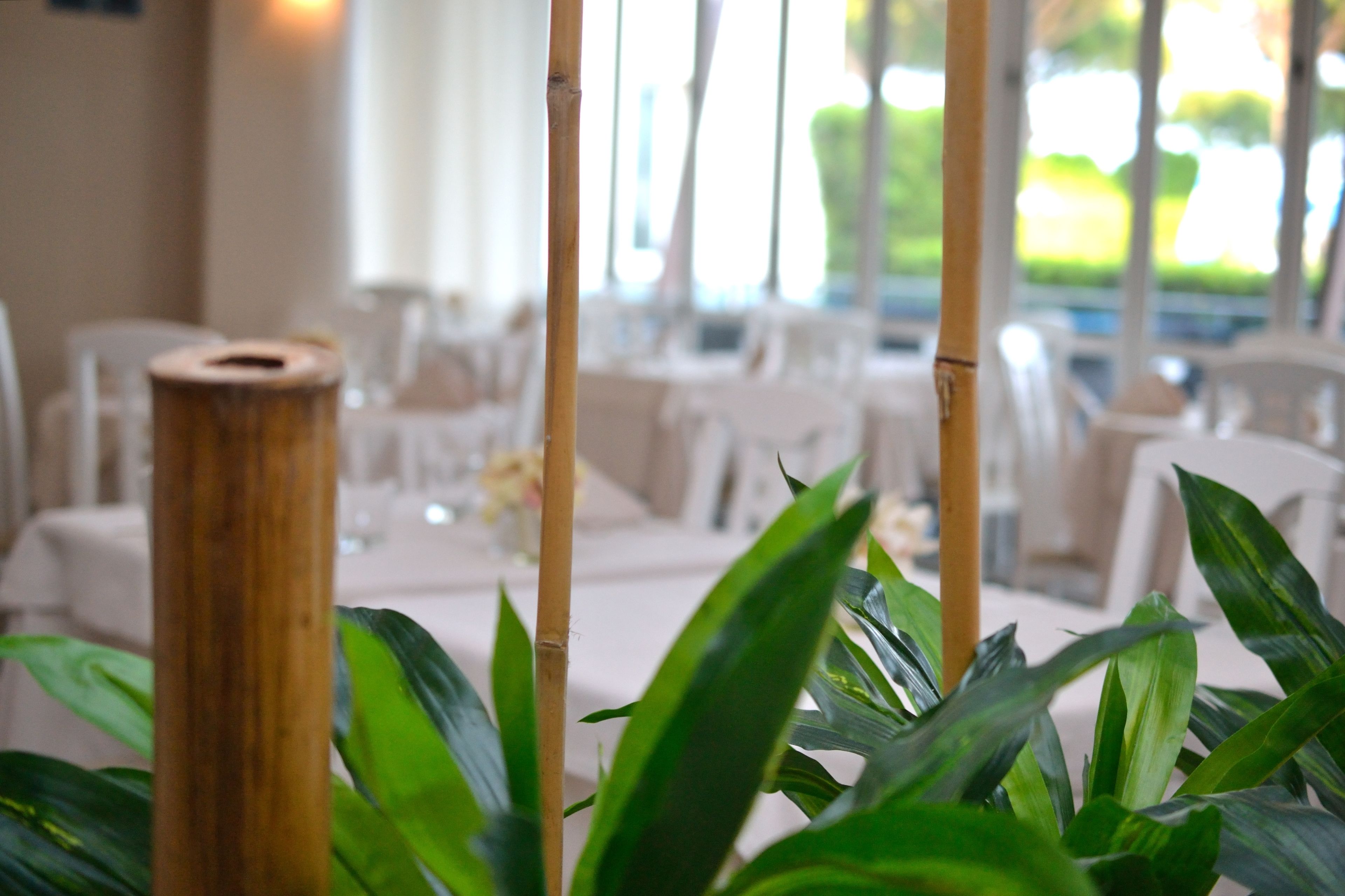 Photo - Park Hotel Ermitage