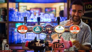A bar with multiple taps labeled with beer brands and a piggy bank with a tip jar.
