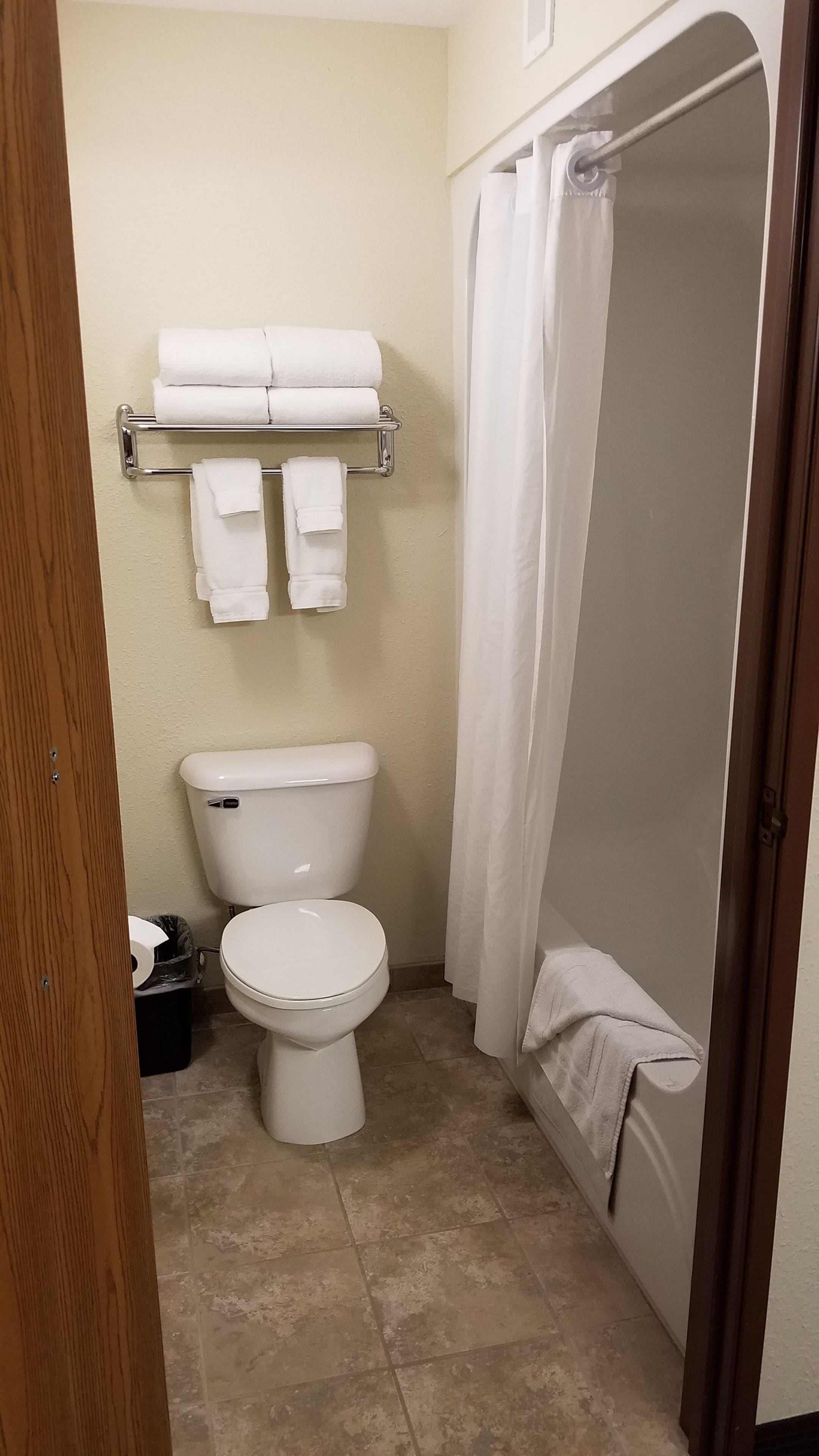 combined shower/bathtub, hair dryer, towels