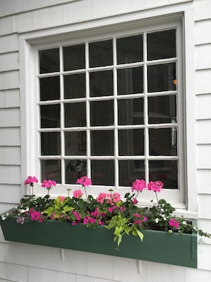Extérieur
