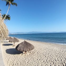 On the beach, black sand, sun loungers, beach umbrellas
