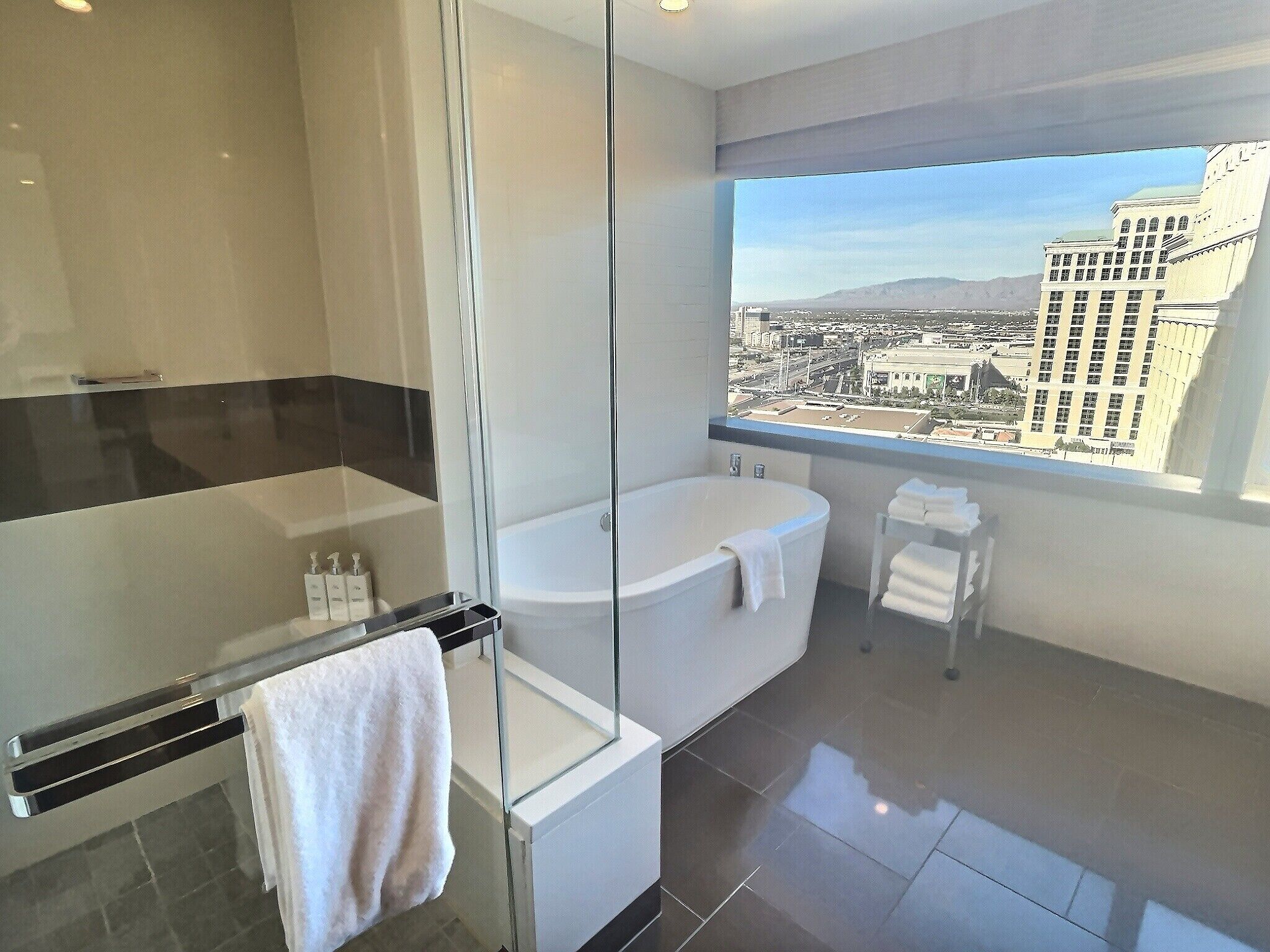 A modern bathroom with a glass-enclosed shower, a freestanding bathtub, and a view of a cityscape through a large window.