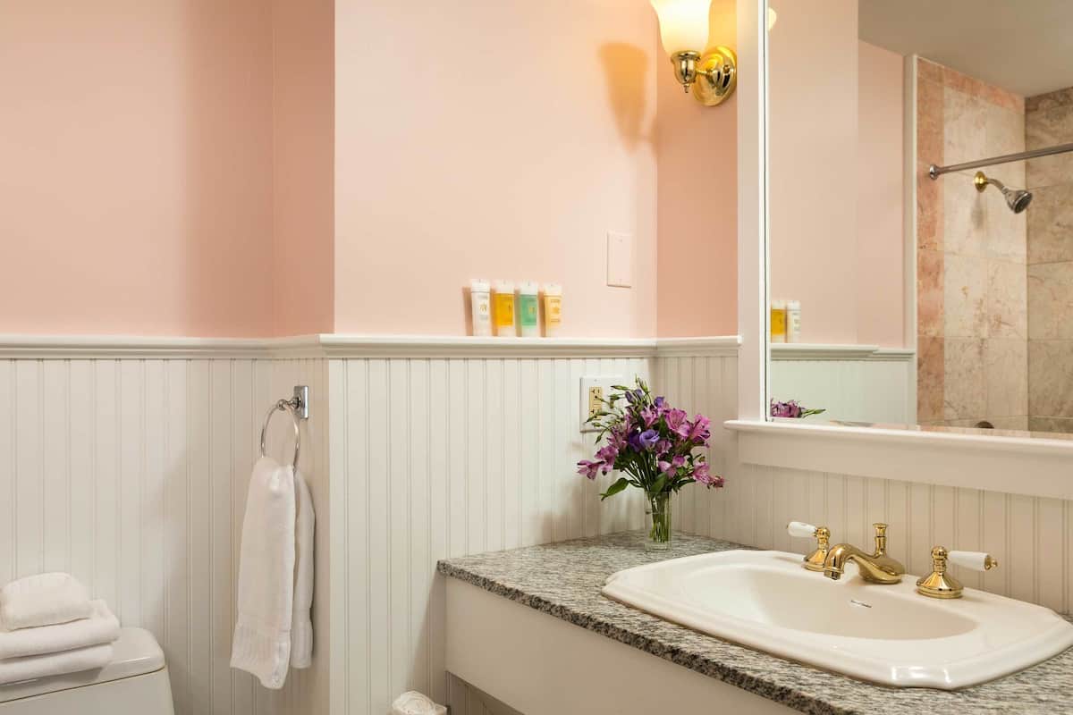 free toiletries, hair dryer, towels, soap