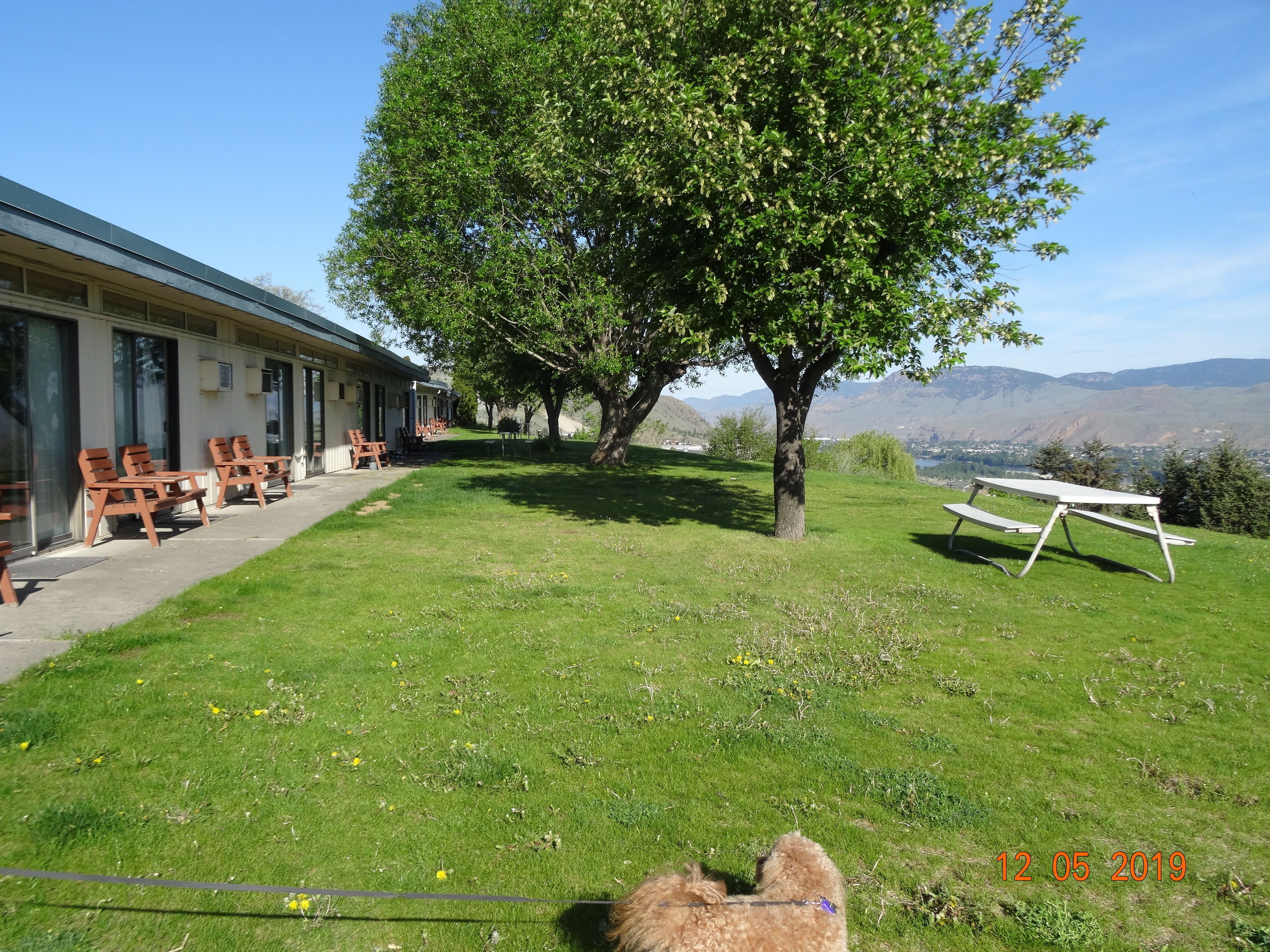 A grassy area with a picnic table and chairs, a tree, and a building with outdoor seating.