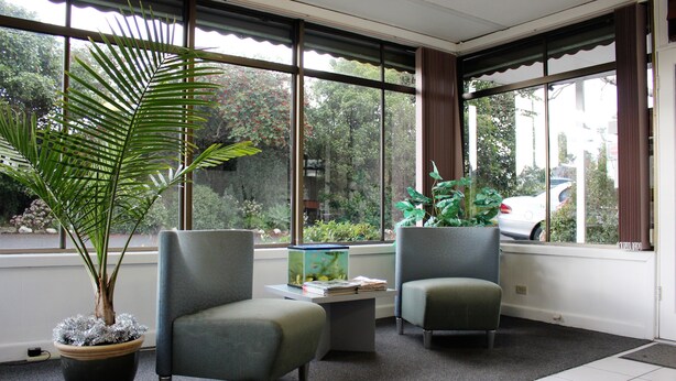 Una habitación con dos sillones grises, una pequeña mesa con libros y un ventanal con vistas a árboles y coches aparcados.