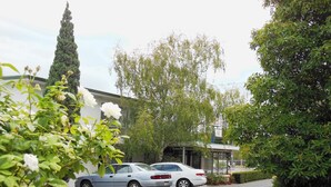 Una calle residencial con coches aparcados, un alto árbol de hoja perenne y un edificio con un cartel que dice '442'.