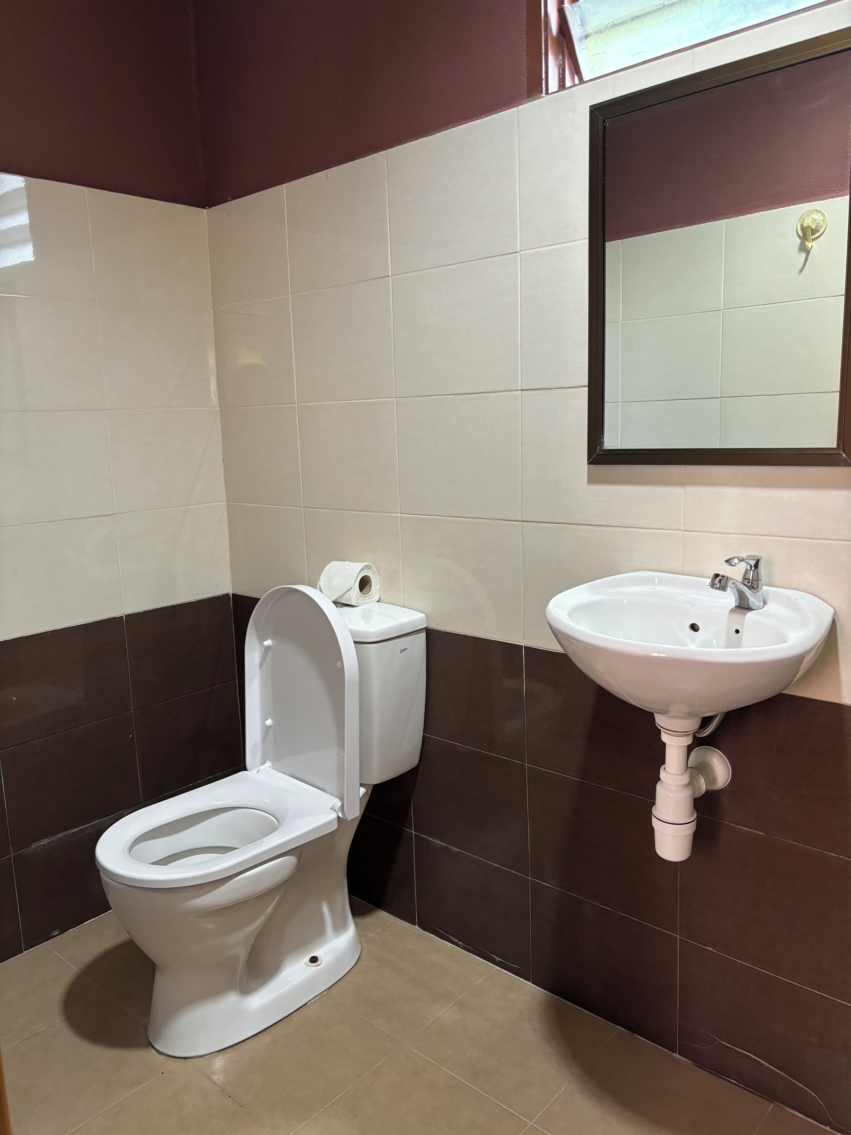 Un baño con inodoro blanco, lavamanos y espejo.