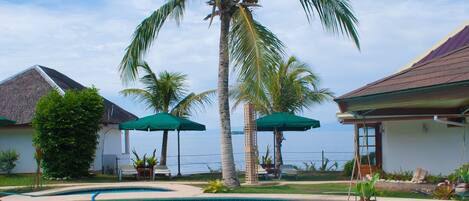 A swimming pool with palm trees, a covered seating area, and a view of the ocean.