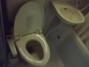 Combined shower/bathtub, hair dryer, electronic bidet, towels