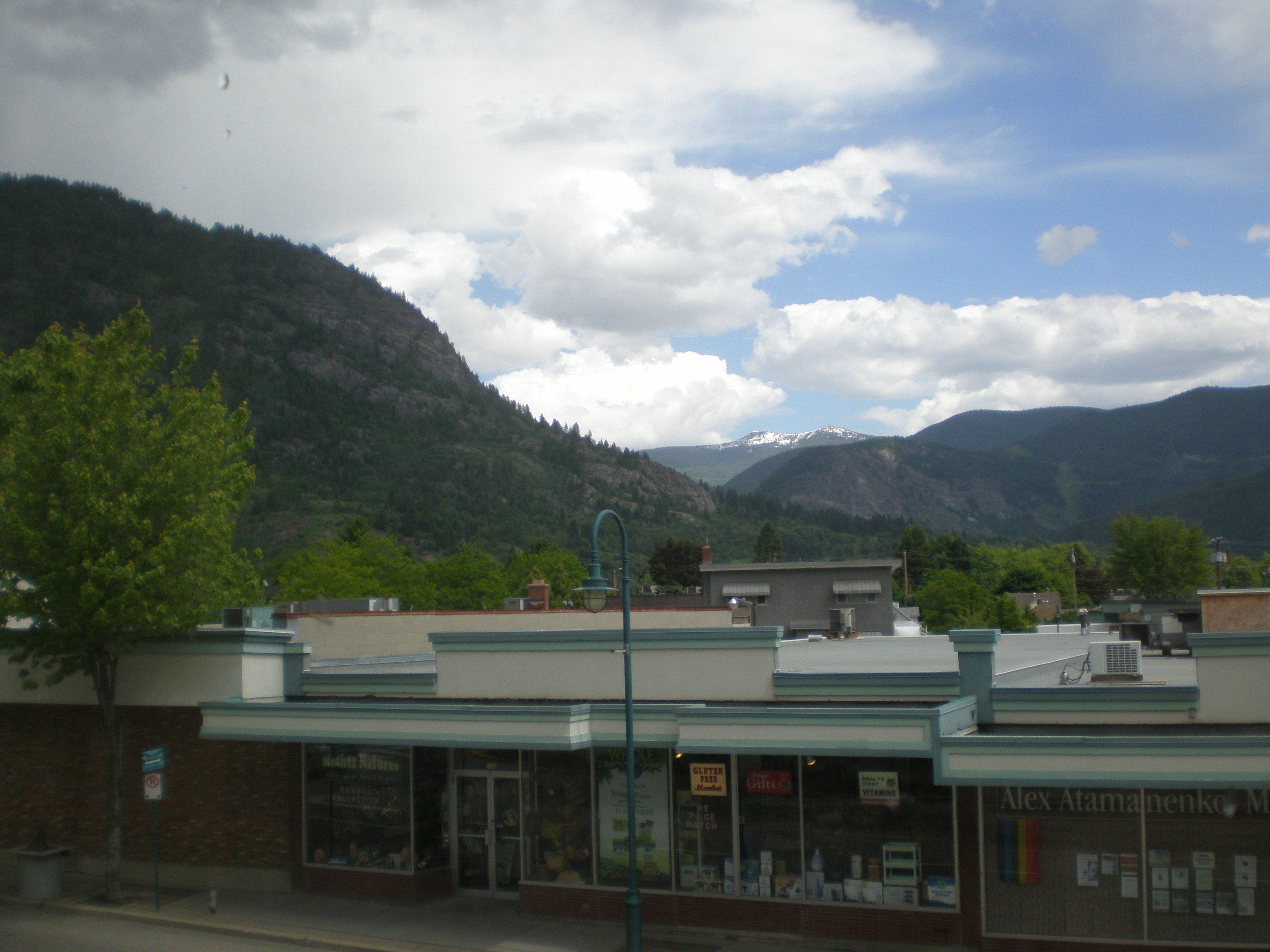 Standard Room, 1 Queen Bed | View from room