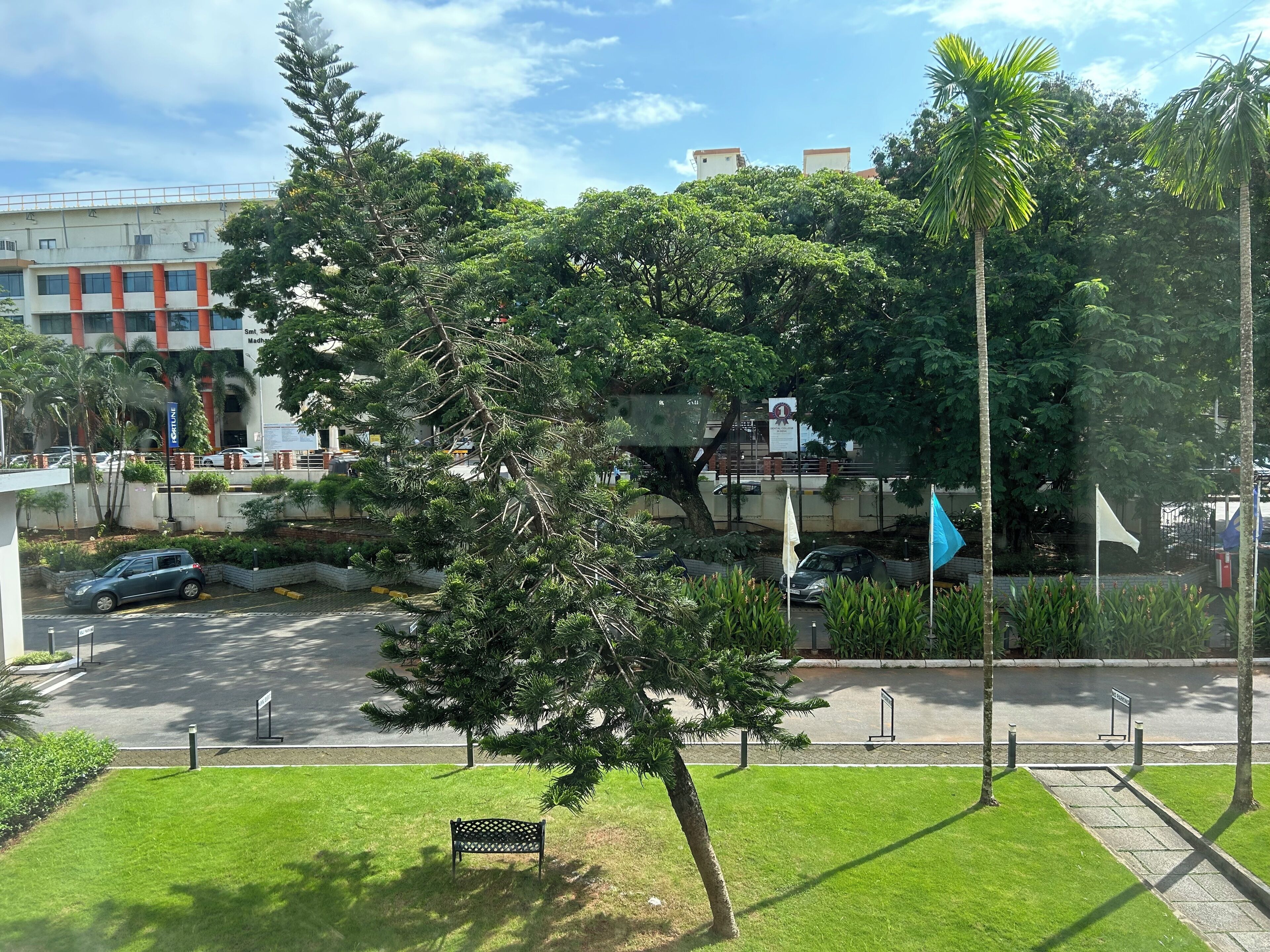 Un parque con un banco, árboles y un edificio al fondo.
