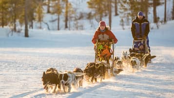 A person in a red jacket and hat pulling a sled with dogs in a snowy forest.