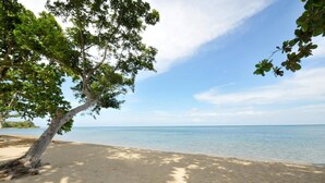 A beach with a tree providing shade, a clear sky, and calm water. - Astoria Palawan (Puerto Princesa)