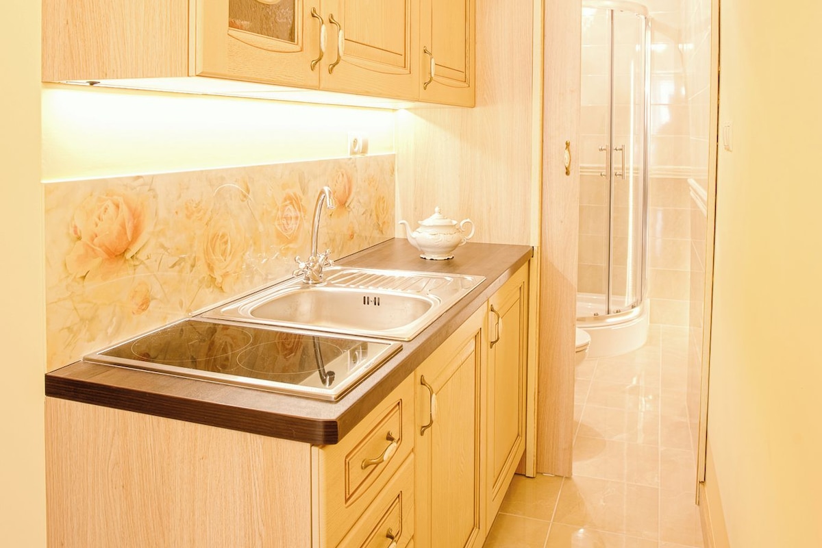 A compact kitchen with wooden cabinets, a sink, and a countertop.