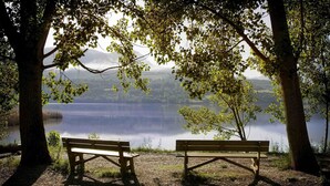 Dos bancos de madera mirando a un lago tranquilo con árboles enmarcando la vista.
