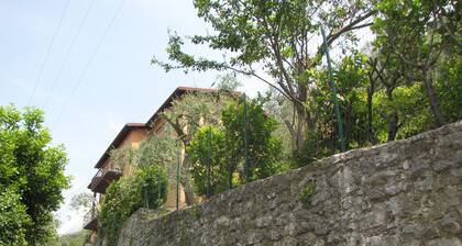 Villa Olivo