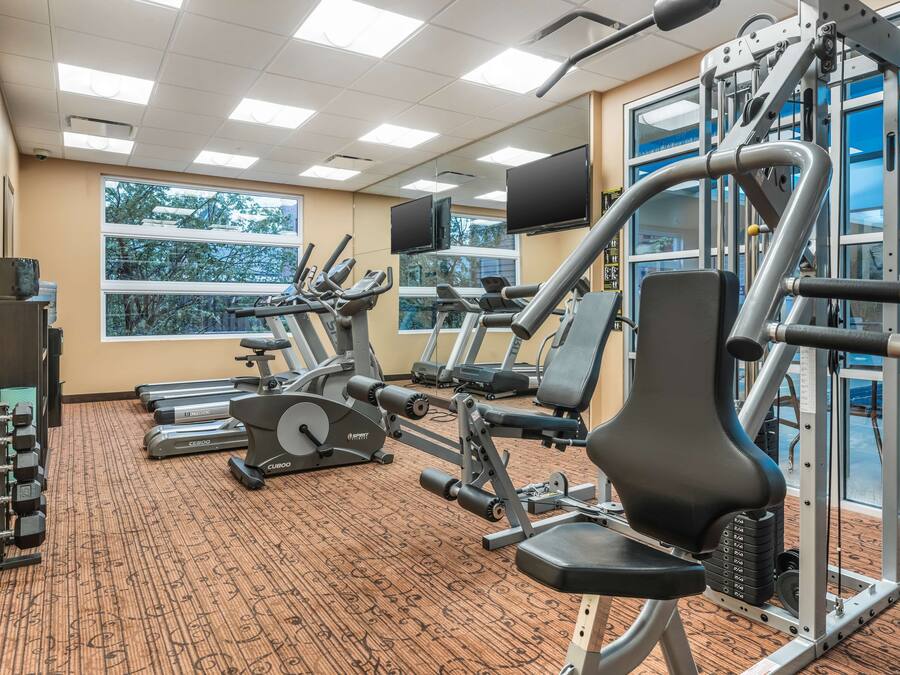 Un gimnasio con cintas de correr, máquinas de pesas y mancuernas.