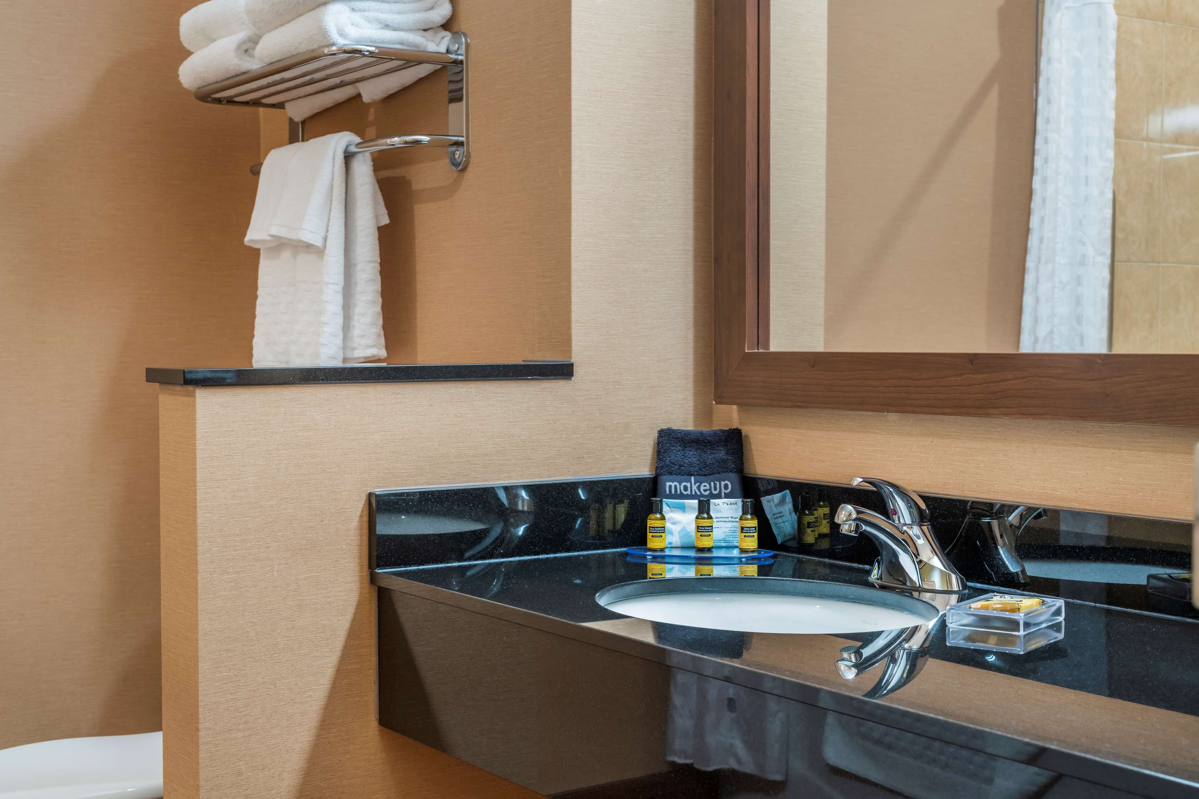 combined shower/bathtub, free toiletries, hair dryer, towels