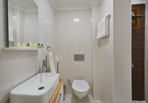 Triple Room | Bathroom | Shower, free toiletries, hair dryer, slippers - Euroistanbul Hotel (Istanbul)