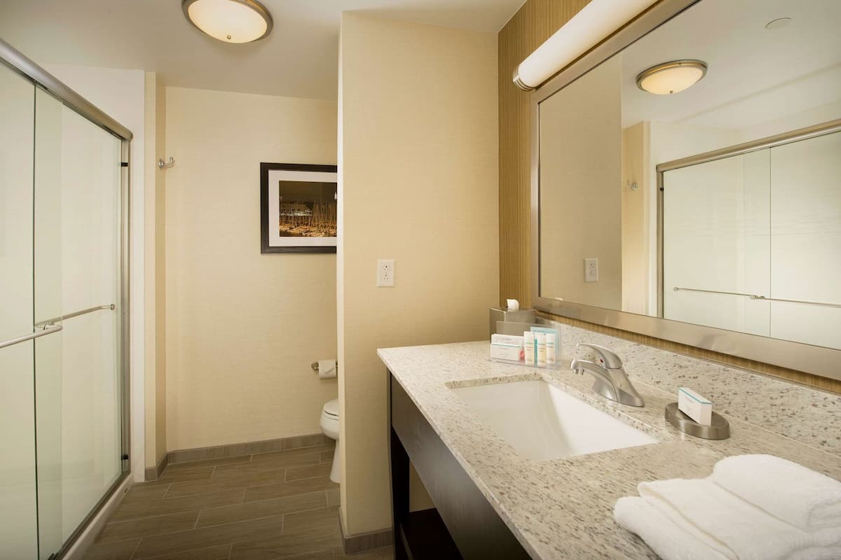 A hotel bathroom with a shower, a sink, a mirror, and a framed picture on the wall.