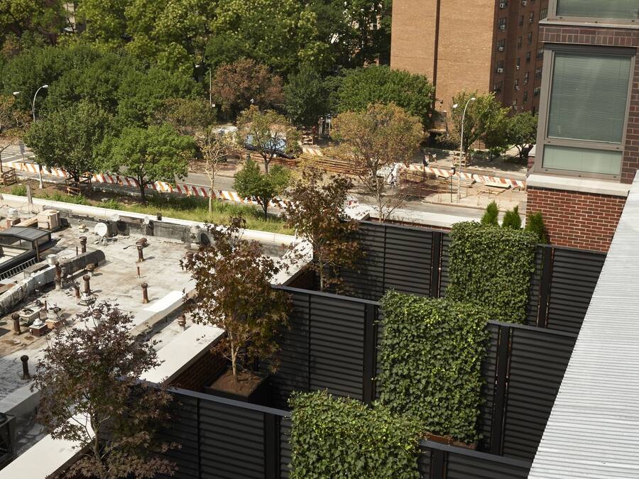 Un jardín en la azotea con plantas en macetas y una zona de estar.