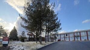 Sınıflandırılmamış resim, 14 üzerinden 2, düğme