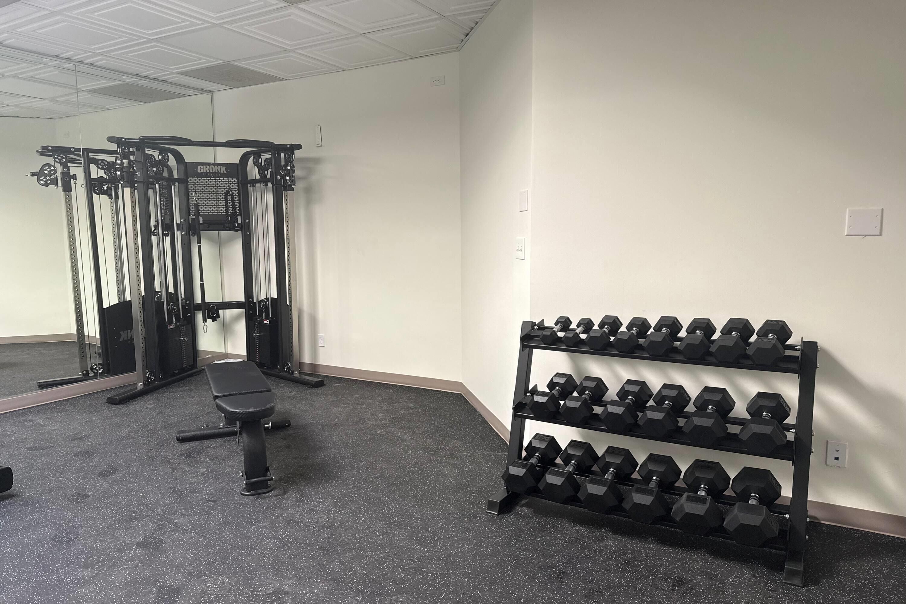 A gym with a squat rack, bench, and dumbbell rack.