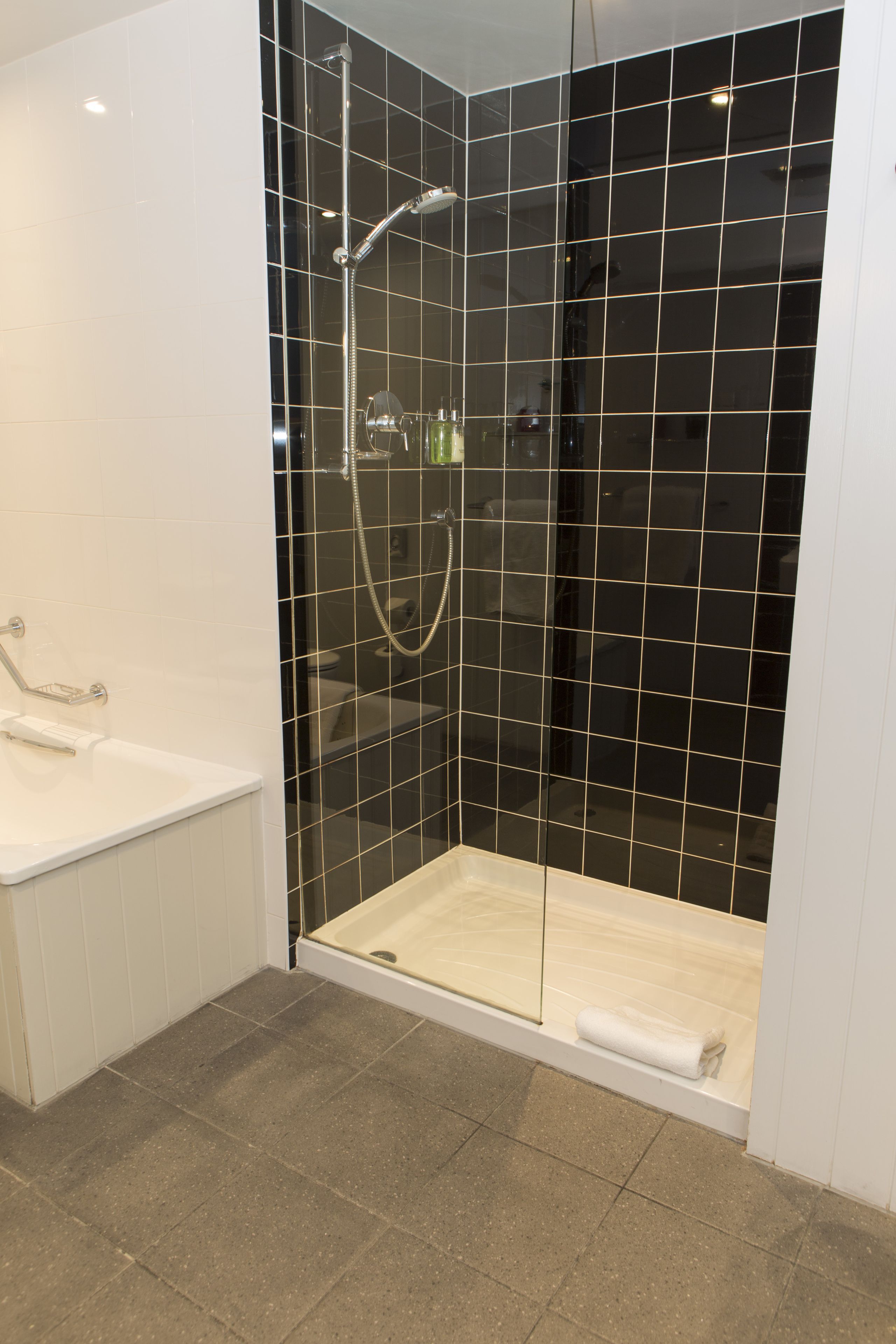 executive suite | bathroom shower