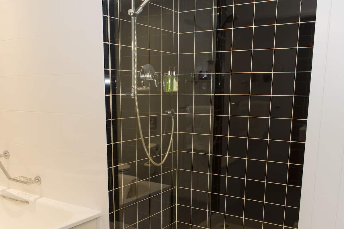 executive suite | bathroom shower