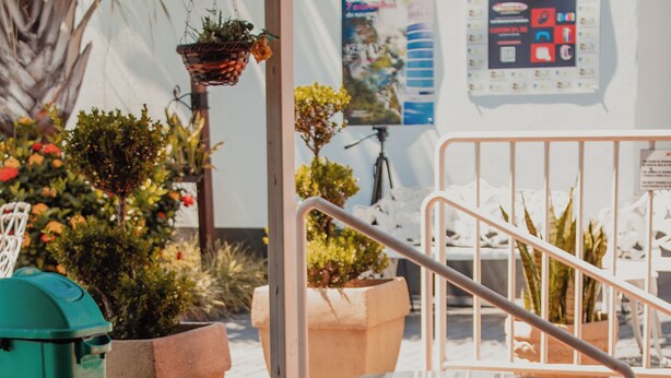 A café with a glass table, stools, potted plants, and a poster on the wall. - Pousada Caroline (Foz do Iguaçu)