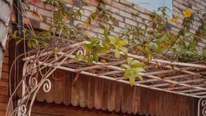 A wooden sign with the name "Pousada Caroline" in large letters. - Pousada Caroline (Foz do Iguaçu)