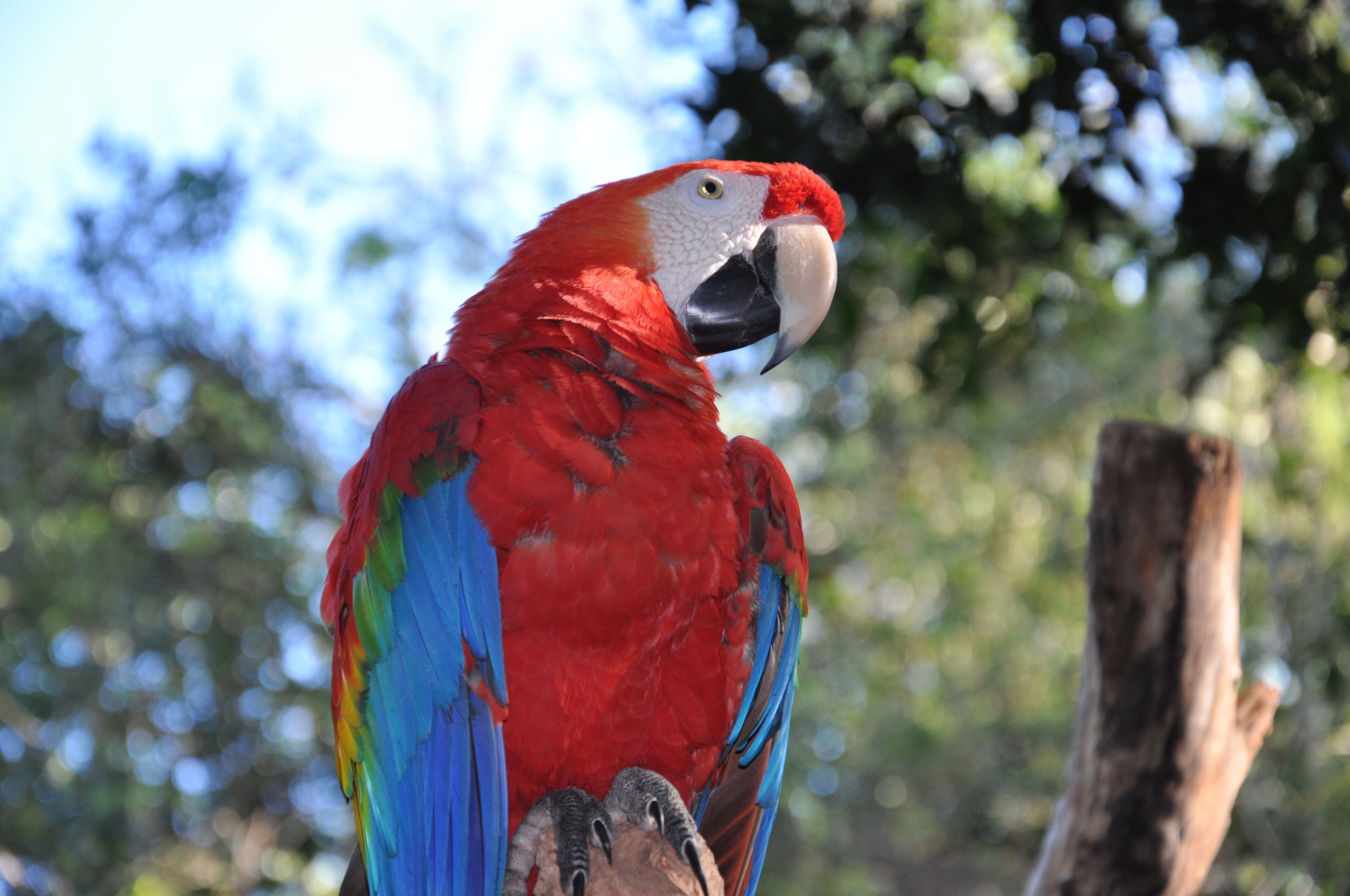 Foto - Hotel e Pousada Caroline