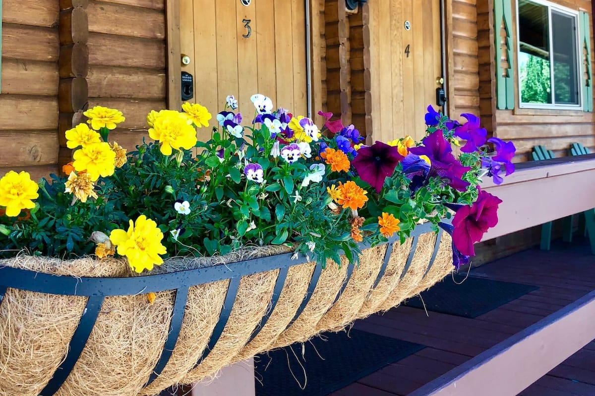 Standard Plus | Free WiFi, bed sheets