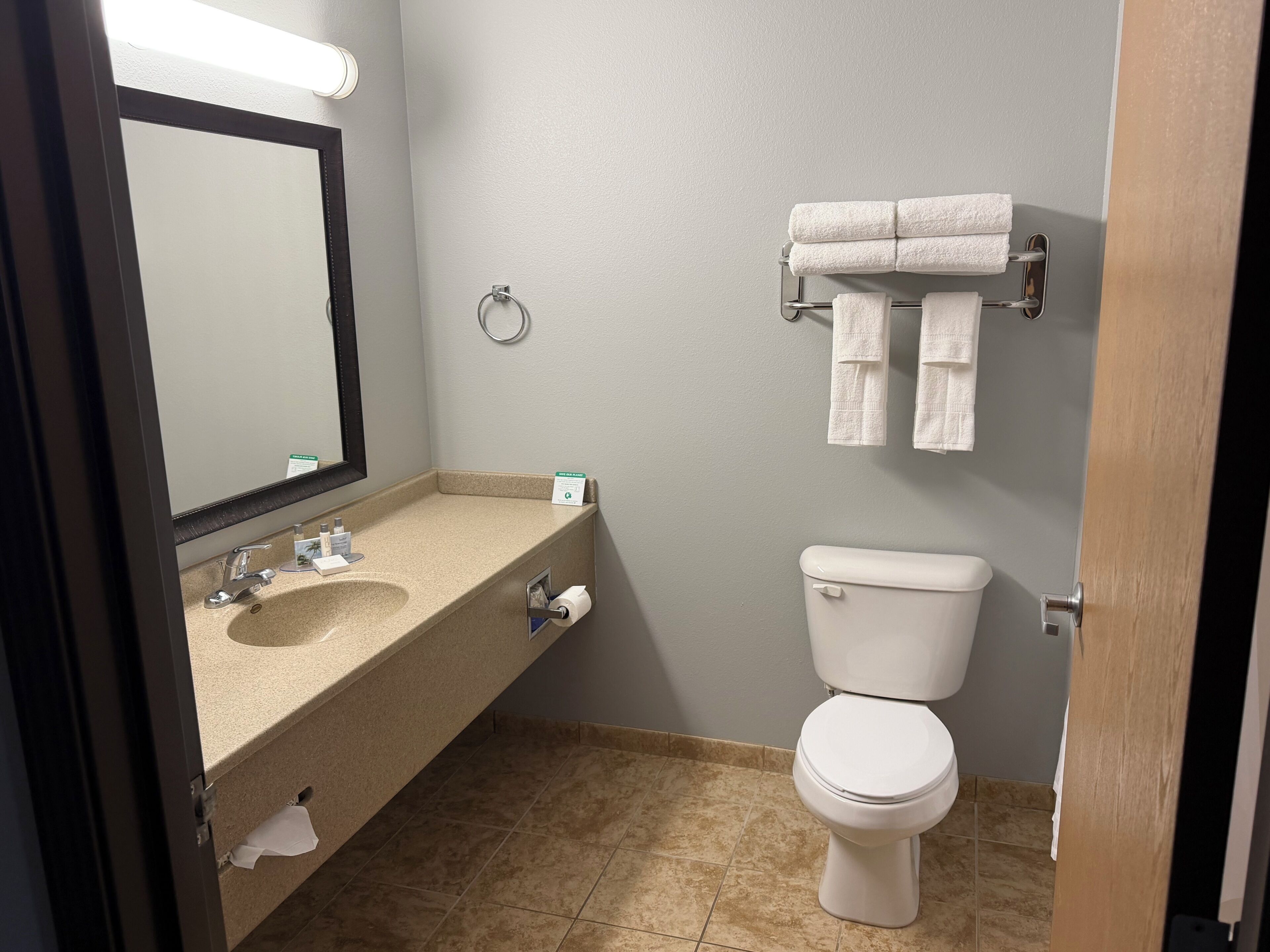 A bathroom with a sink, mirror, toilet, and towel rack.