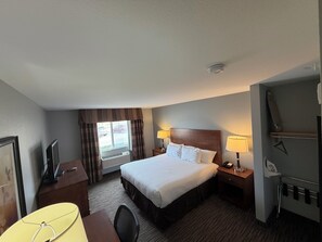 Standard Single Room, 1 King Bed