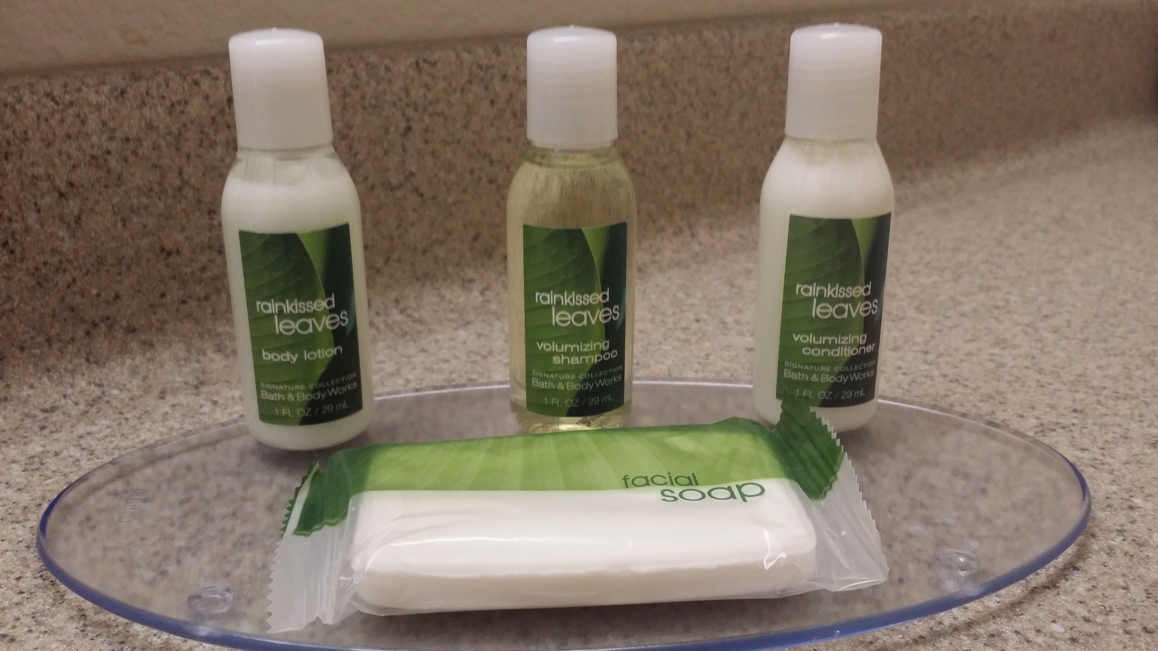 combined shower/bathtub, free toiletries, hair dryer, towels