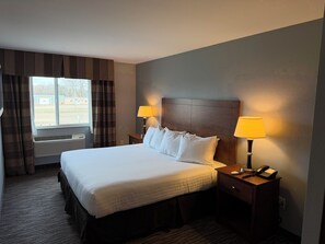 Standard Single Room, 1 King Bed