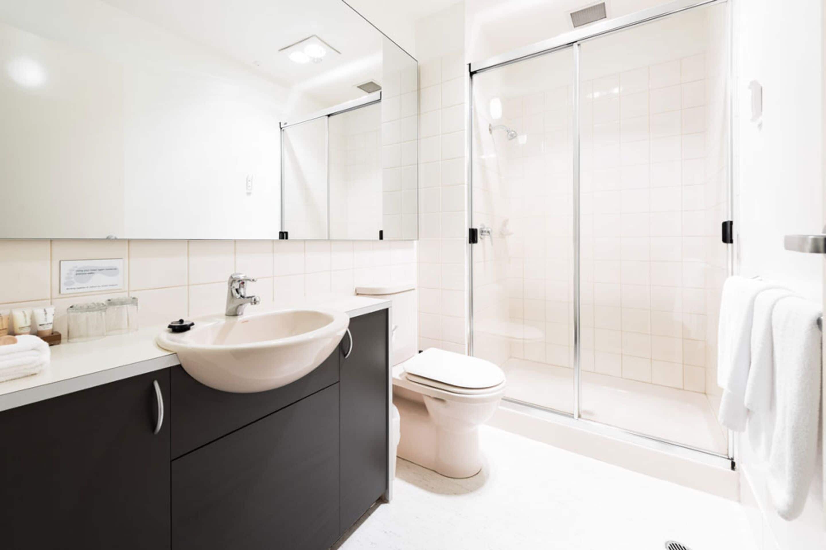 shower, free toiletries, hair dryer, towels