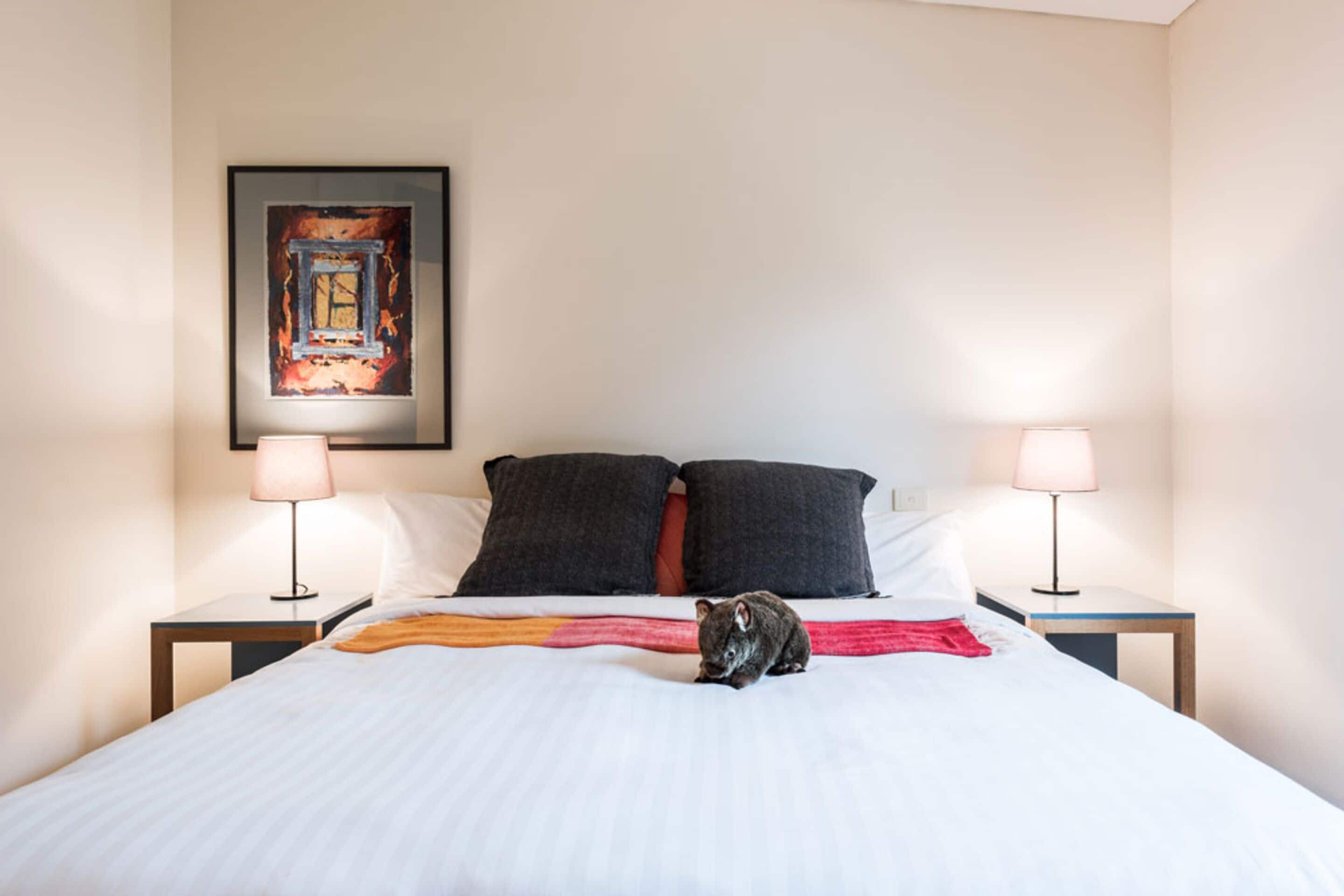 Habitació d'hotel amb un llit, dues mesetes de nit, dues làmpades, un quadre a la paret i un gat al llit.